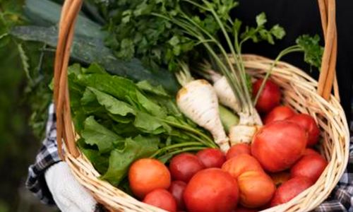March&eacute; de Sauve