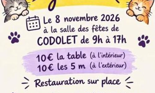 Vide grenier &agrave; Codolet