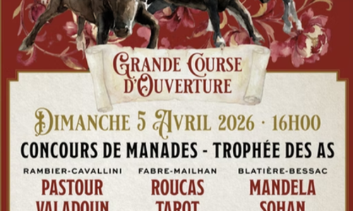 Course Camarguaise - Troph&eacute;e des As