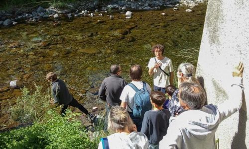 Randonn&eacute;e Ornithologique en For&ecirc;t de l'Aigoual