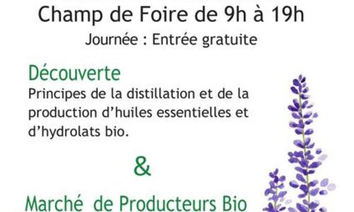 5&egrave;me Edition de la F&ecirc;te de la Lavande