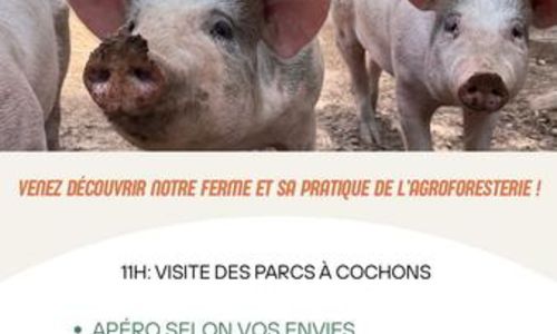 Repas &agrave; la ferme