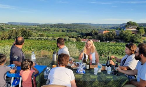 Jeudis d&eacute;gustation dans les vignes au domaine Challias