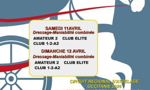 12&egrave;me Concours d&rsquo;attelage &agrave; Tresques