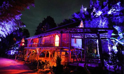 JEP 2026 : Spectacle nocturne &agrave; la Bambouseraie