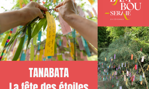 Tanabata, la f&ecirc;te des &eacute;toiles