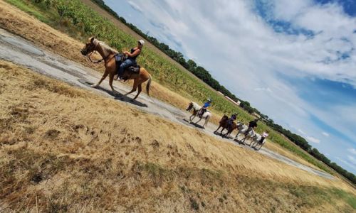 Balade Family &agrave; cheval - Les Poneys d'Aurel