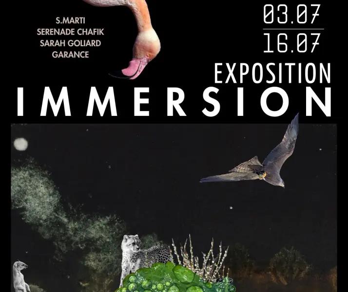 Immersion