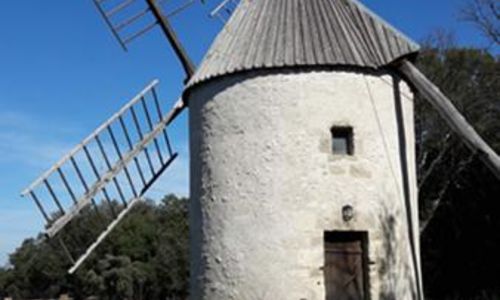 Balade &agrave; la d&eacute;couverte des plantes sauvages comestibles autours du gouffre des Esp&eacute;lugues