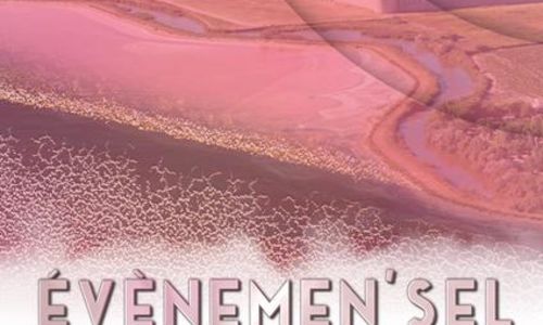 &Eacute;v&egrave;nemen'Sel