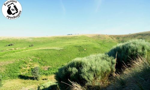 Parcours VTT C(h)ampestre Attitude