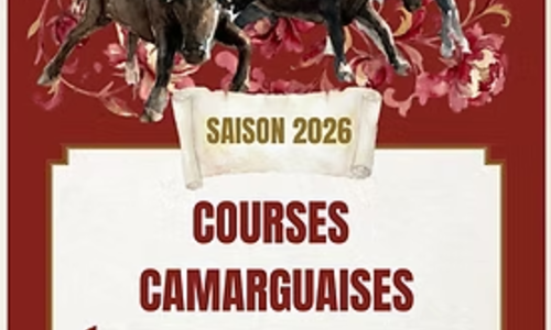 Course Camarguaise &eacute;coles de raseteurs