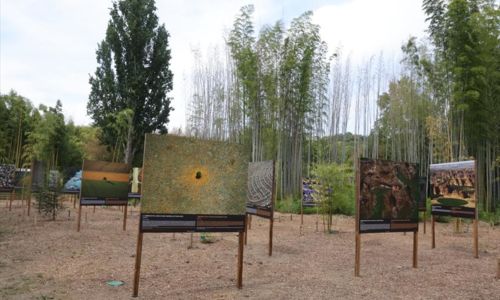Jep 2026 : Exposition "La Terre Vue du Ciel" Yan Arthus Bertrand
