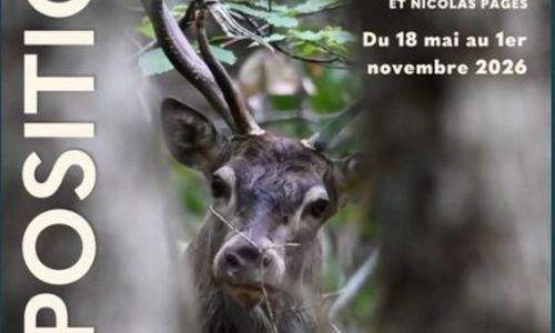 L'Aigoual, un Massif Sauvage