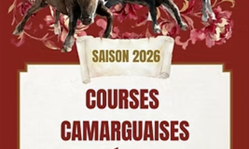Course Camarguaise - Troph&eacute;e des As