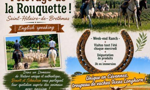 Visite - Elevage de la Rouquette