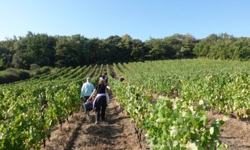 Entre ciel et terroir - Avril en balade 2026