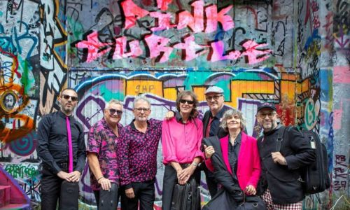 Concert - Pink Turtle