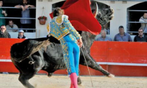 F&eacute;ria d'Al&egrave;s - Grande Corrida