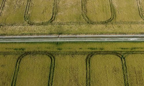 Festival de la Camargue - Immersion dans les rizi&egrave;res