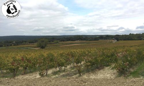 Boucle cyclo-d&eacute;couverte de la Garrigue