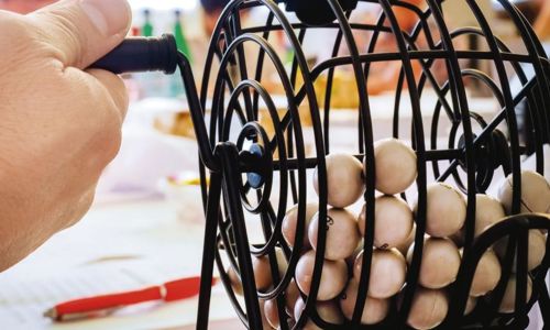 Lotos du mois d'avril 2026