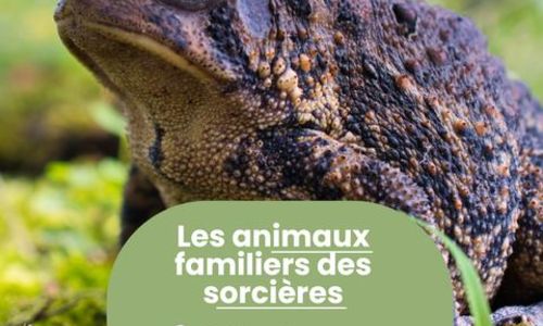 Rendez-vous Nature - Animations et balades gratuites &agrave; Saint-Chaptes