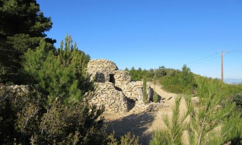 Balade botanique autour des capitelles - Avril en balade 2026