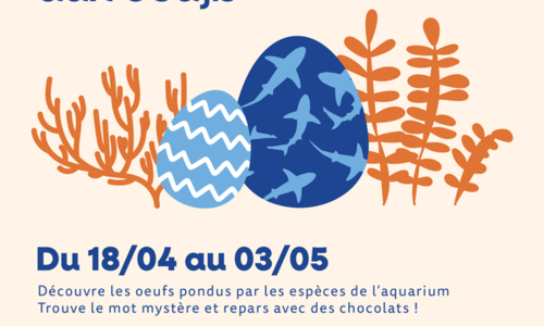 Vacances d'avril au Seaquarium Institut Marin