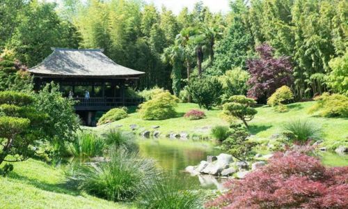 Exposition : &ldquo;Arts & Nature&rdquo;