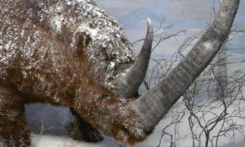 JEP 2026: Le Pr&eacute;historama