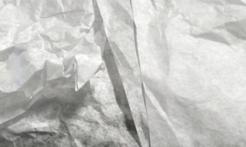 Exposition : Nous sommes au moins trente mille dans cette nuit