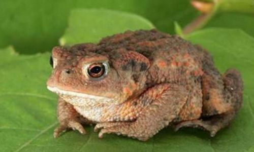 Un &Eacute;t&eacute; &agrave; la Maison de l'Eau