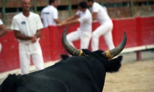 F&ecirc;te votive de Le Cailar