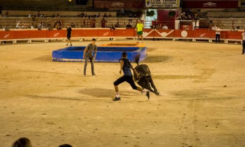 Toros-piscine &agrave; Beaucaire