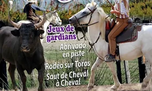 Grand rod&eacute;o camarguais - jeux de gardians