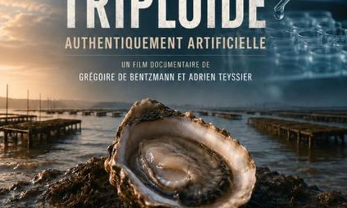Film et d&eacute;bat - L'hu&icirc;tre triplo&iuml;de : authentiquement artificielle