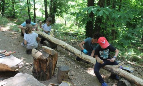 Stages en for&ecirc;t