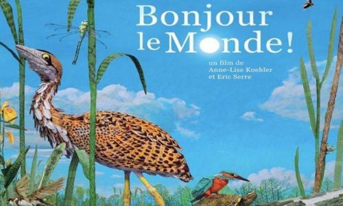 Projection - Bonjour le monde !