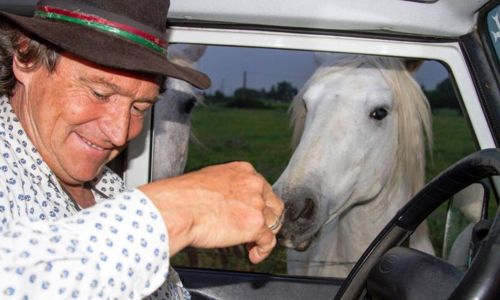 Phil le Guide - Visite de la camargue en 4x4