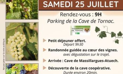 Randonn&eacute;e - De la Vigne au Verre