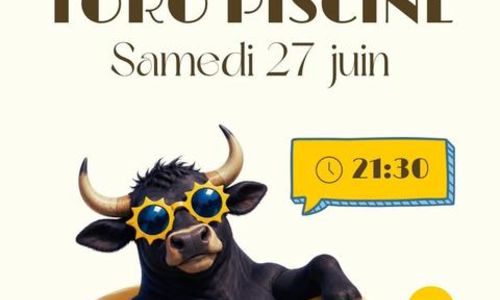 Toro Piscine