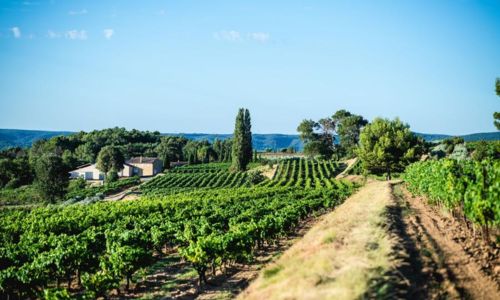 Domaine La R&eacute;m&eacute;jeanne