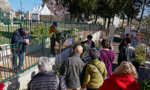 JEP 2026 : Centre de Pomologie : Visite du Jardin les Terrasses du Bosquet