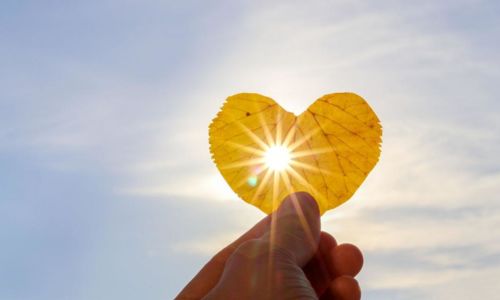 Journ&eacute;e du c&oelig;ur