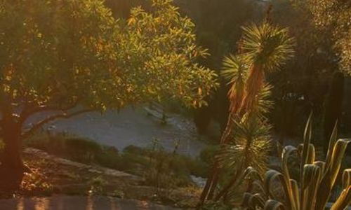 Rendez-vous aux jardins - Visite guid&eacute;e "la biodiversit&eacute; &agrave; fleur de peau"