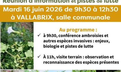 Conf&eacute;rence - Ambroisies et autres esp&egrave;ces invasives