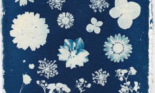Atelier en famille : Cyanotype