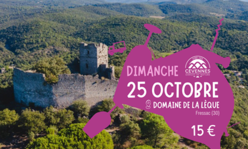 Les Vignes R&eacute;boussi&egrave;res 2026