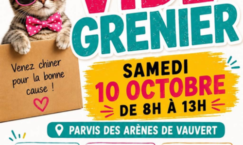 Vide grenier - Les chats Vauverdois
